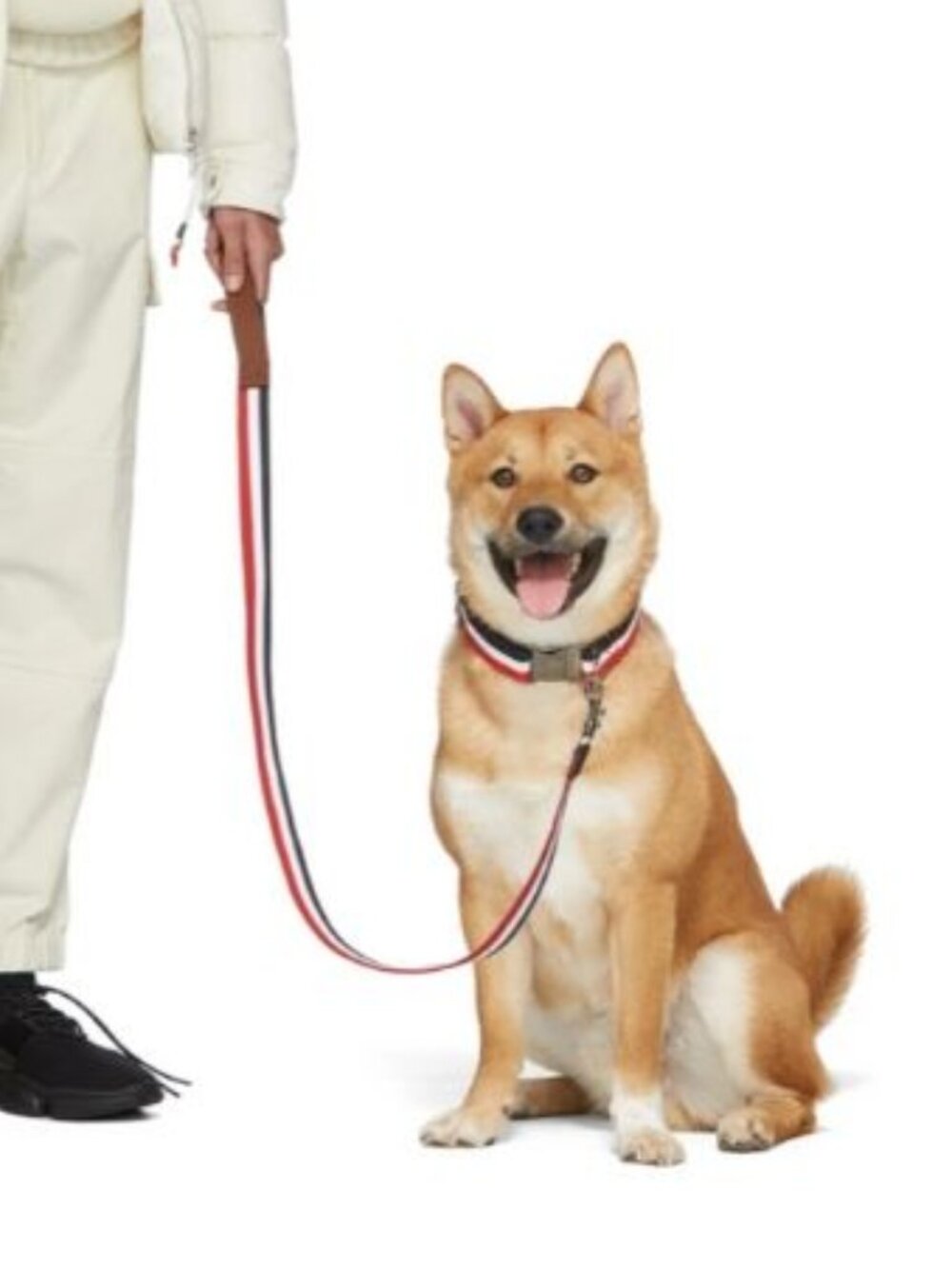 Moncler x Poldo Dog Couture Tricolor Leash